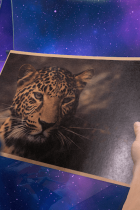 Planet Print, S.L.