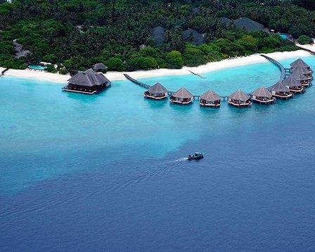 Magnolia Travel Company