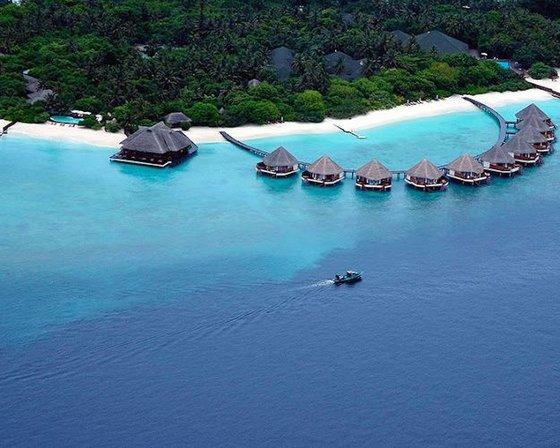 Magnolia Travel Company