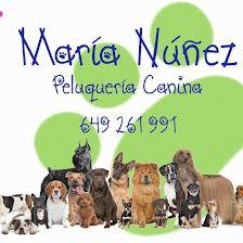 María Núñez Peluquería Canina