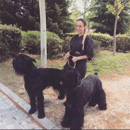 María Núñez Peluquería Canina