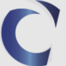 Capital Auditors