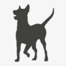 Dog Rules