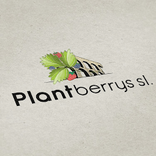 Viveros Plantberrys