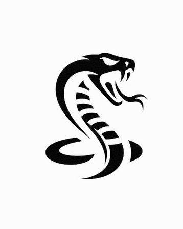 gym cobra