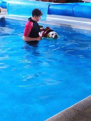 School Canina Narub
