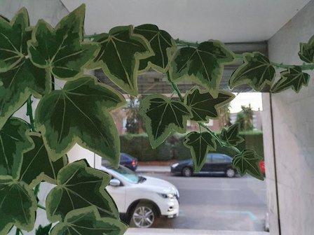 CLINYEDRA