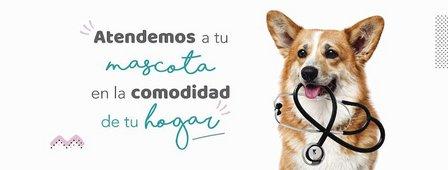 Vet2Go Veterinario a domicilio en Madrid