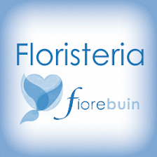 FLORISTERIA FIOREBUIN