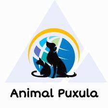 Animal Puxula tienda para mascotas