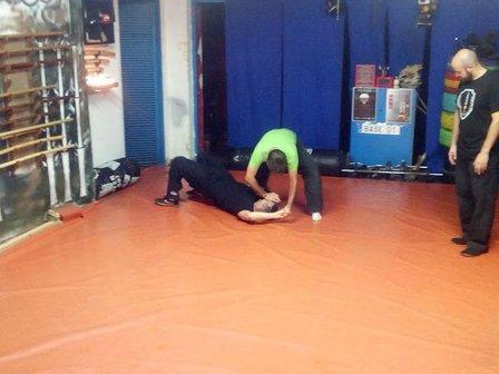 ELCamino del Guerrero ,Bujinkan, NinpoTaijutsu, Budotaijutsu,defensa personal,Goshindo,Taiho Jutsu