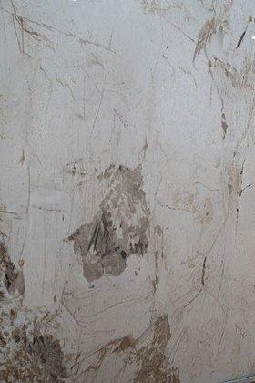 Tu Panel Decorativo