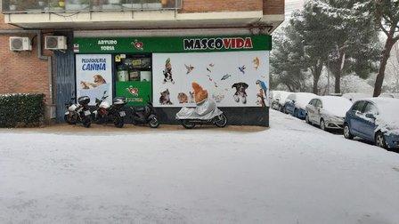 MASCOVIDA