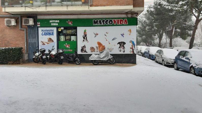 MASCOVIDA