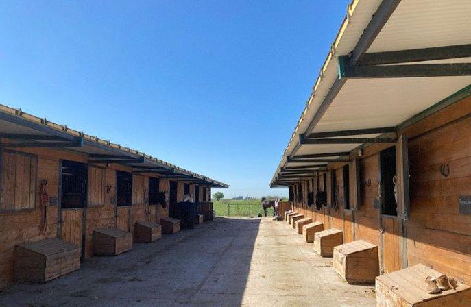 Centro Hipico Mirasierra