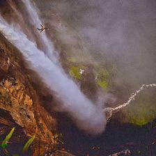 Angel Falls Photos