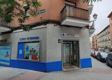 Labrador Veterinary Clinic