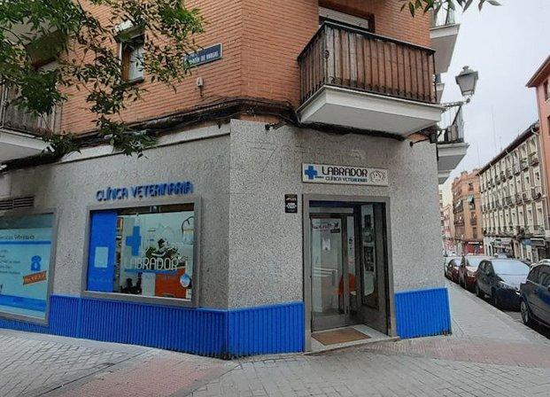 Labrador Veterinary Clinic