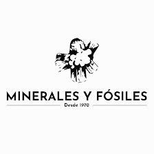 Minerales Y Fosiles