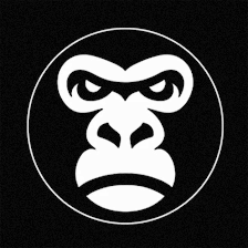 ENGORILE.COM | Vender Surf, Esquí y Snowboard