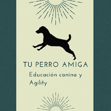 Tuperroamiga