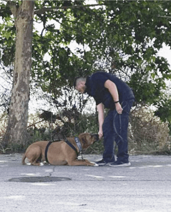 EDUCACIÓN CANINA JOSE LUIS B. BLANCO