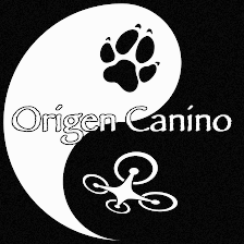 ORIGEN CANINO - Drones y perros