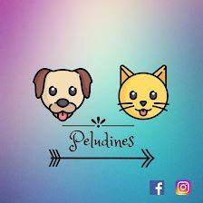 los mas peludines