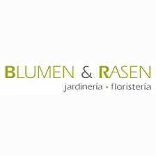 Blumen Rasen