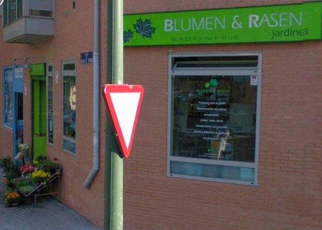 Blumen Rasen