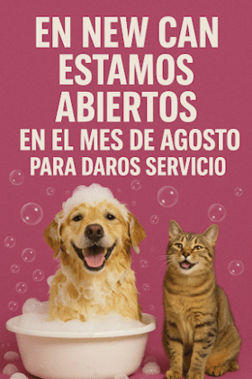 Peluqueria Canina y Felina New Can
