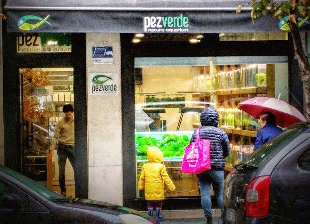 PezVerde