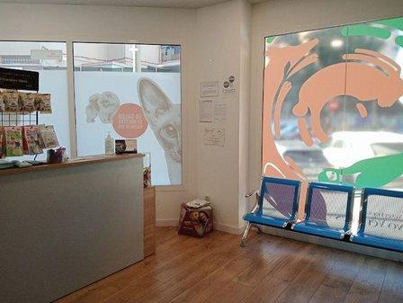 Nuevo Versalles Veterinary Center