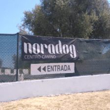 Noradog Centro Canino