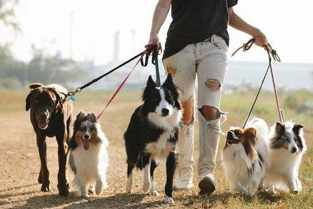 VALDEPERROS