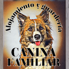 Alojamiento y Guardería Canina Familiar
