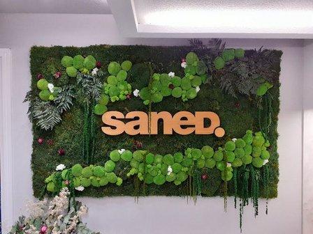 Sanidad Y Ediciones SL (Grupo Saned)