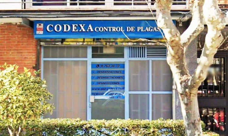 Codexa Control de Plagas