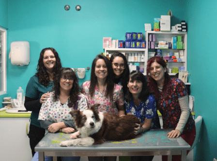 Veterinary Clinic Sirio