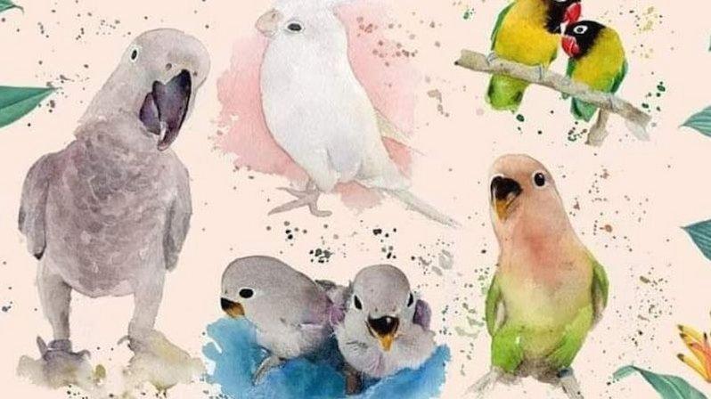 Artepmascota