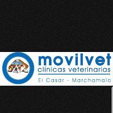 Clínica Veterinaria MOVILVET El Casar