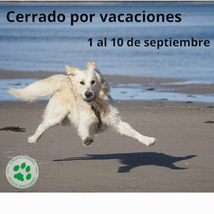 Clínica Veterinaria Hoyo de Manzanares