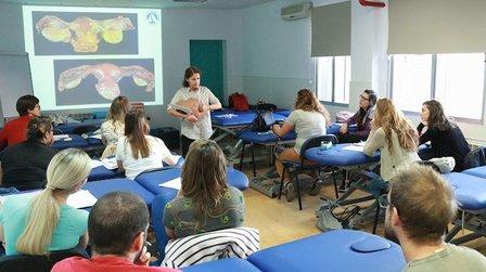 Madrid School of Osteopathy