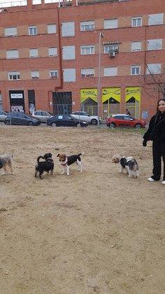 LovelyPetsitter- Mar&Carlos