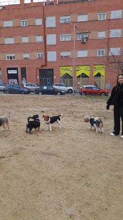 LovelyPetsitter- Mar&Carlos