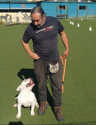 NORTEDOG