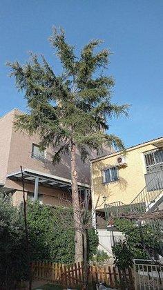Tu Jardín Madrid