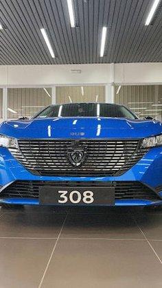 Peugeot Grupo Nani.