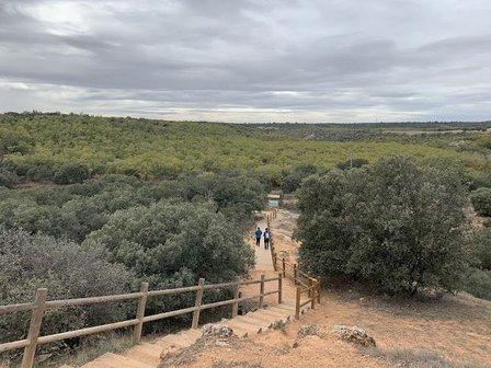 Bosque de Valdenazar