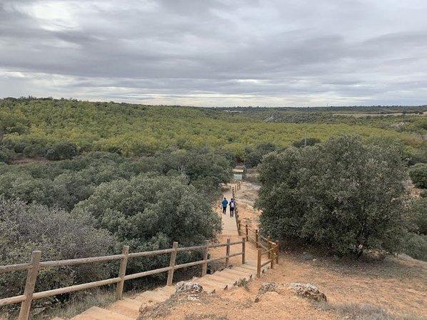 Bosque de Valdenazar